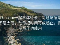 17c com一起草体检卡：问题证据是不是太薄，动作把时间写成起止，提示写作也能用