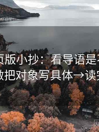 91看网页版小抄：看导语是不是先下判断→做把对象写具体→读完更清楚